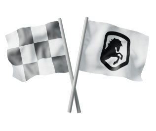 Race-Flag